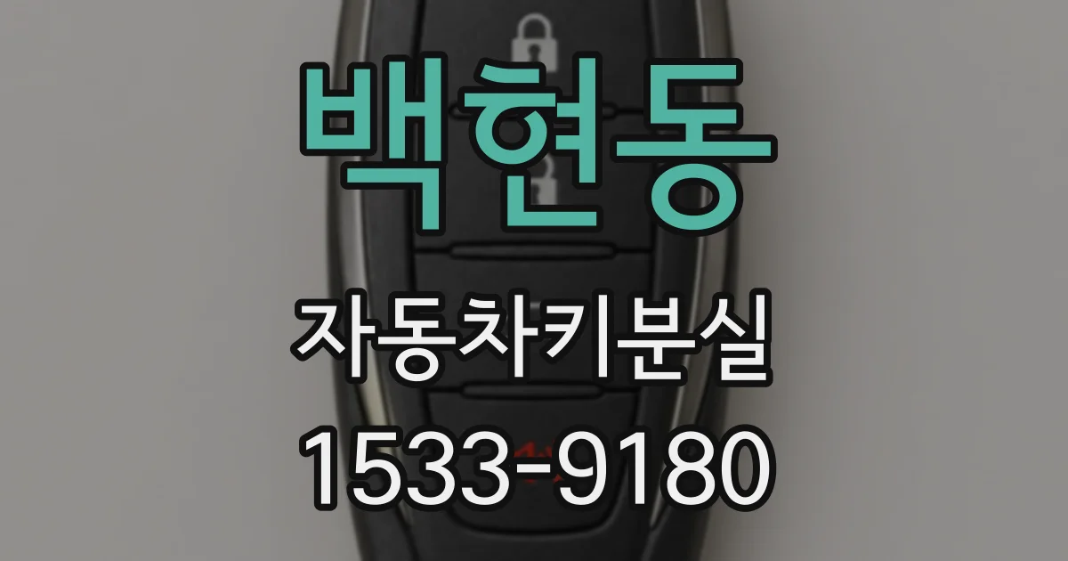 백현동 자동차키분실
