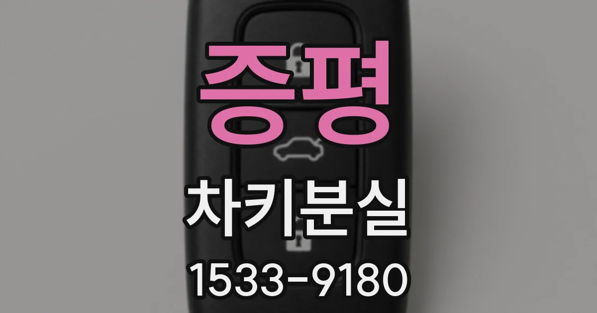증평 차키분실