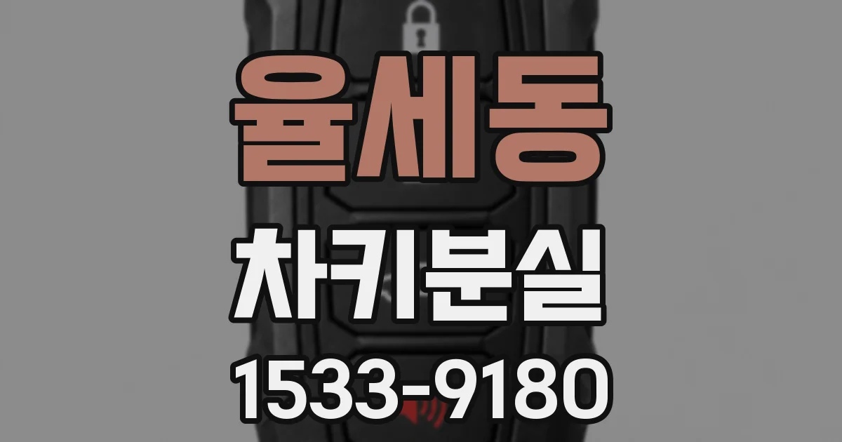 율세동 차키분실