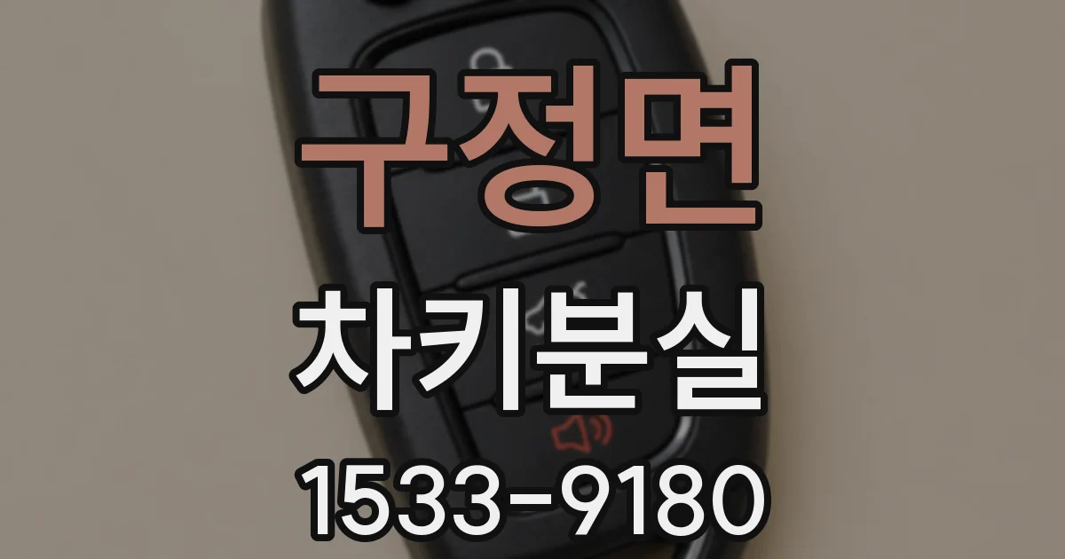 구정면 차키분실