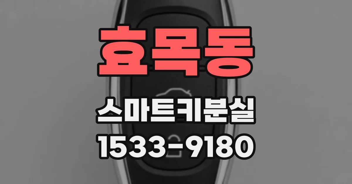 효목동 스마트키분실