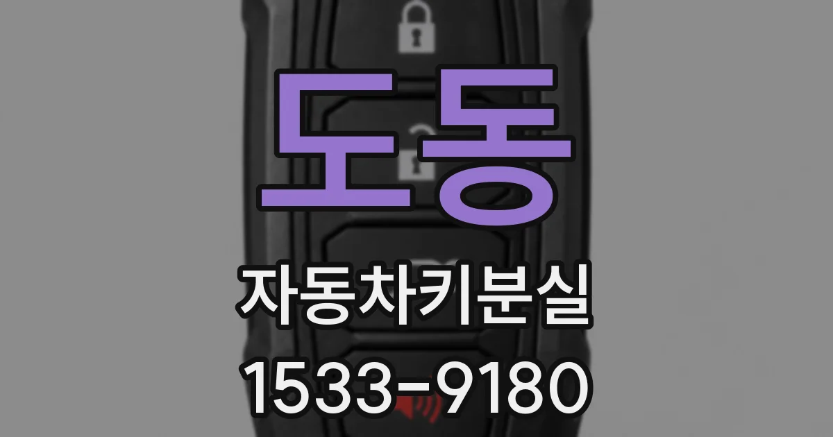 도동 자동차키분실