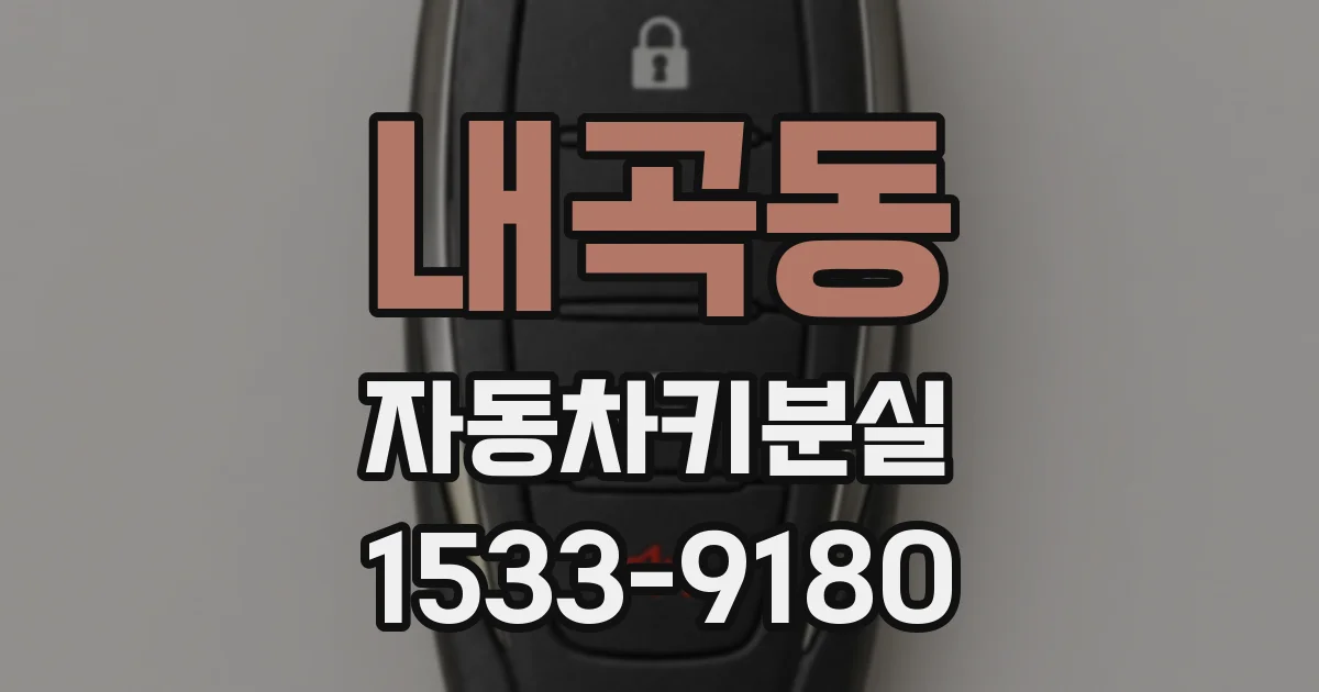 내곡동 자동차키분실