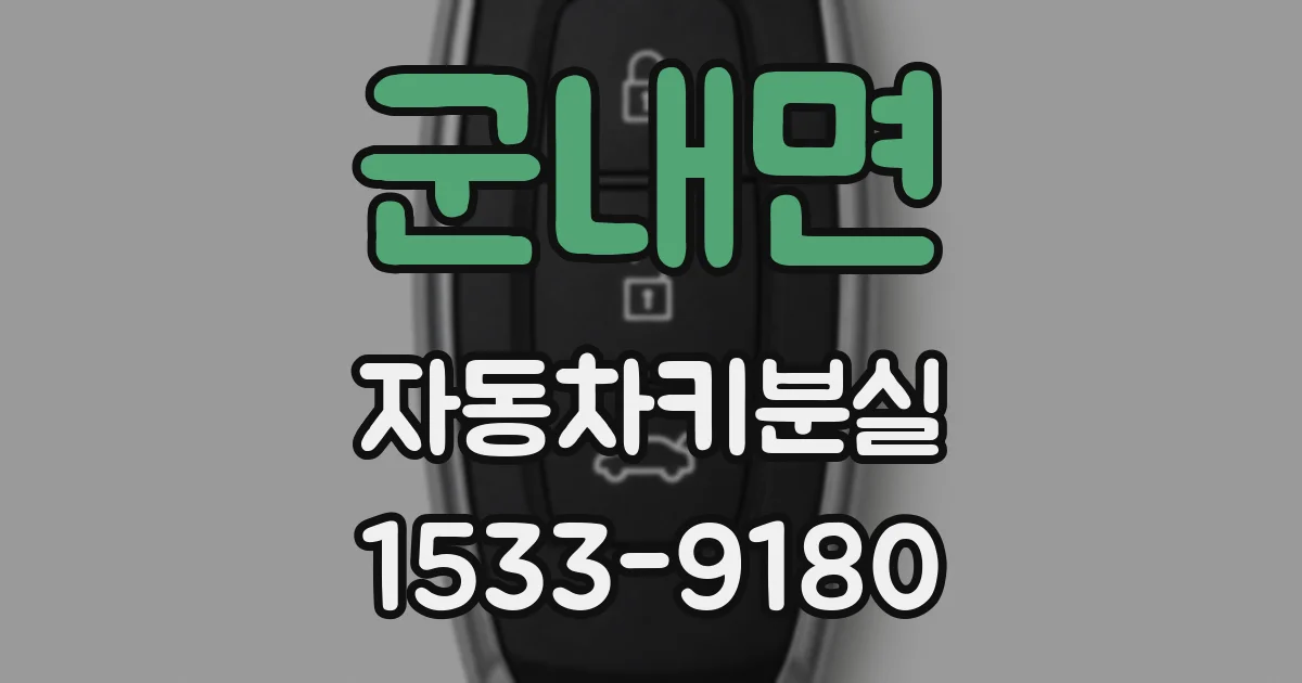군내면 자동차키분실