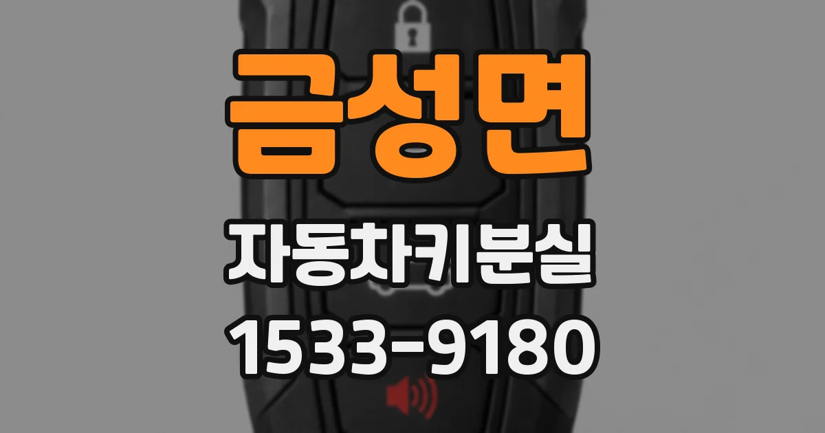 금성면 자동차키분실