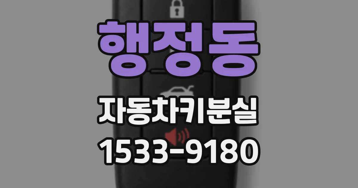 행정동 자동차키분실