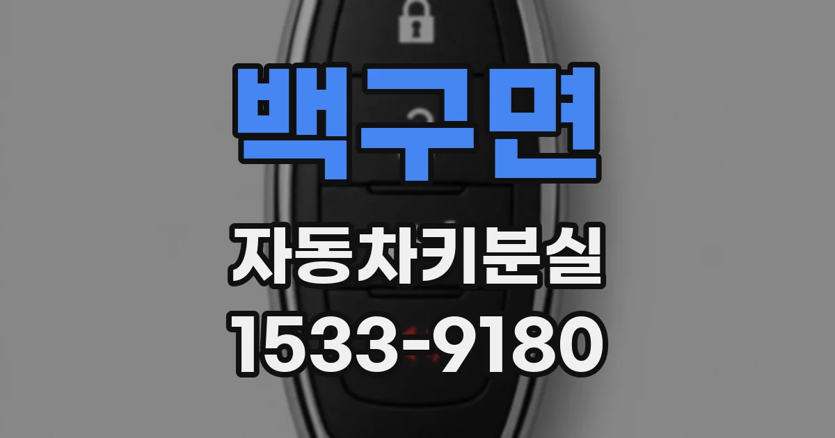 백구면 자동차키분실