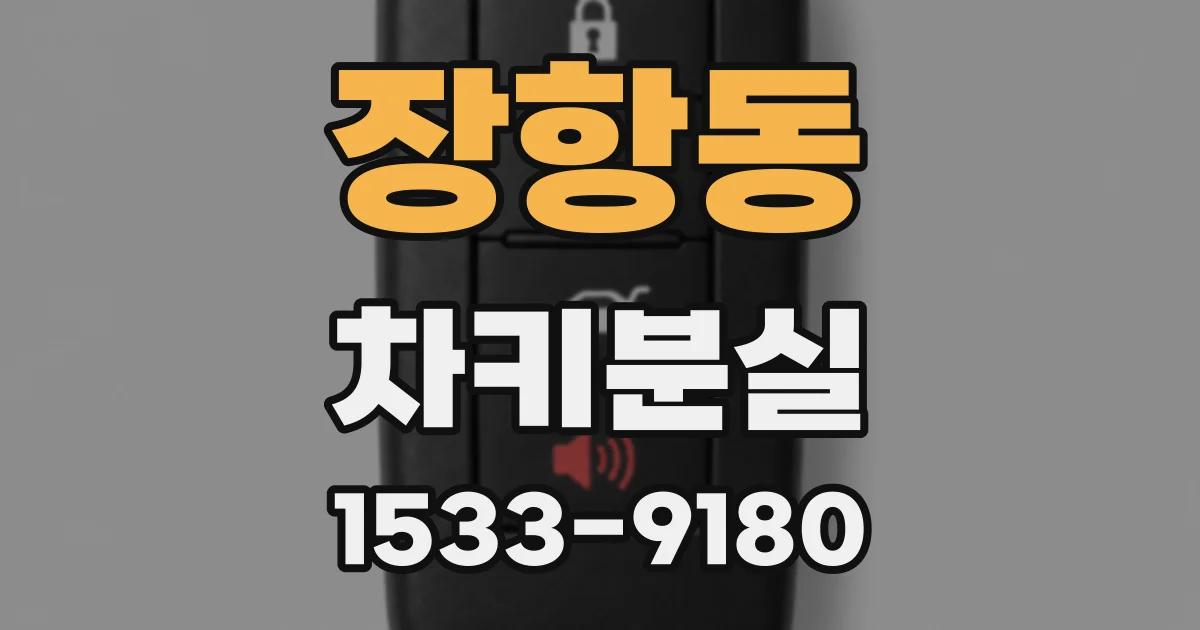 장항동 차키분실