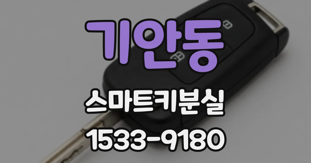 기안동 스마트키분실