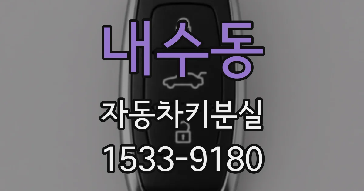 내수동 자동차키분실