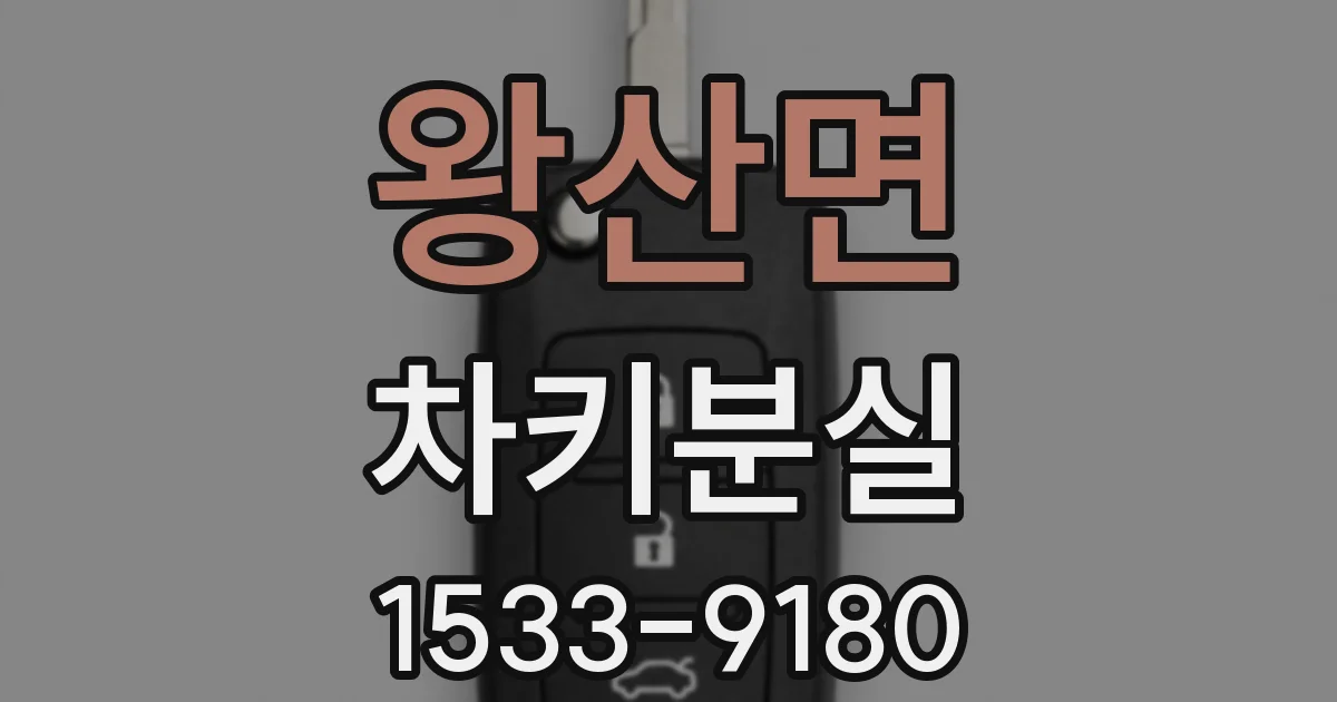왕산면 차키분실