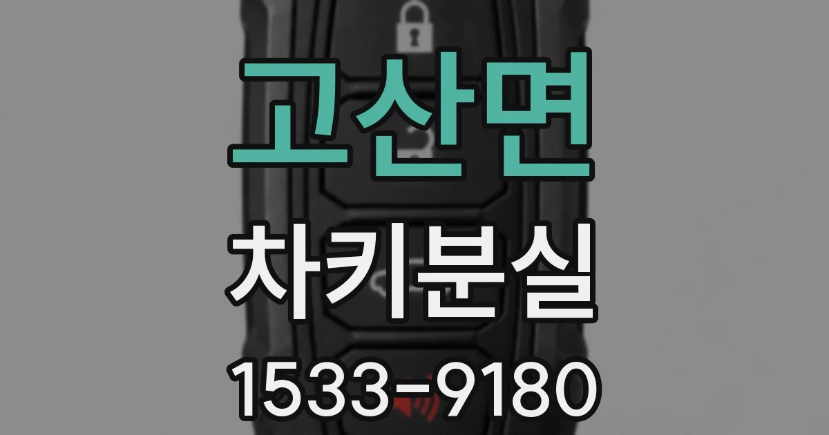 고산면 차키분실