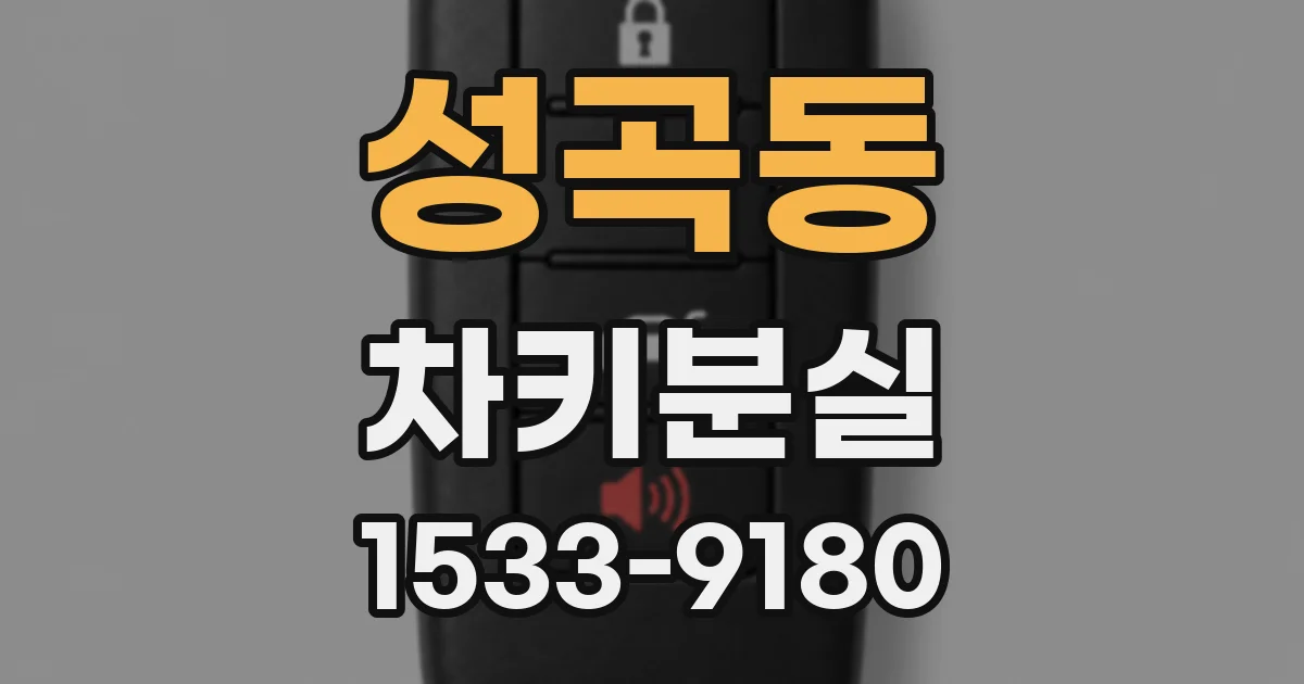 성곡동 차키분실