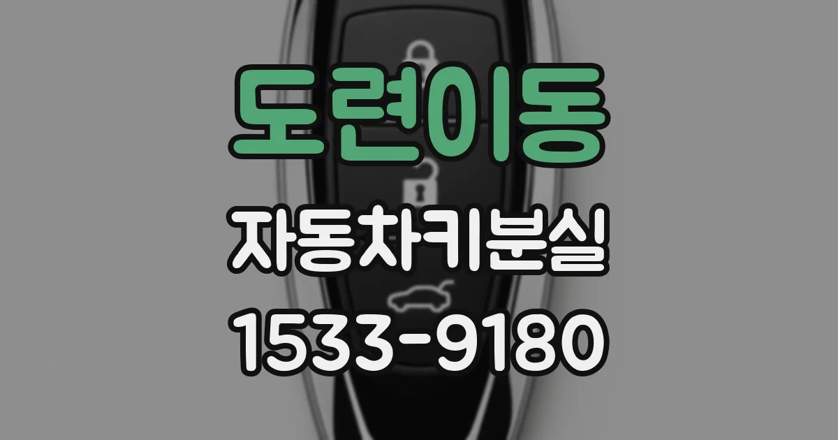 도련이동 자동차키분실