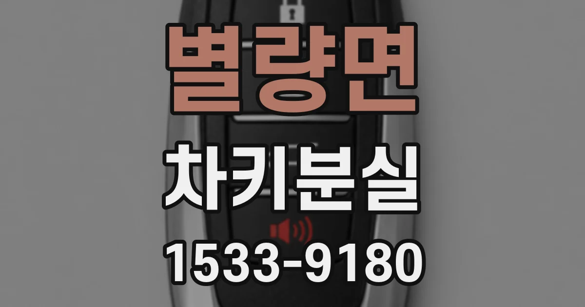 별량면 차키분실