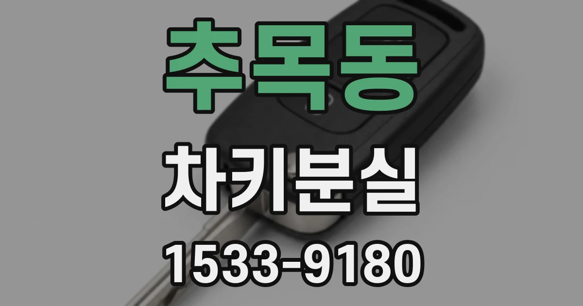 추목동 차키분실