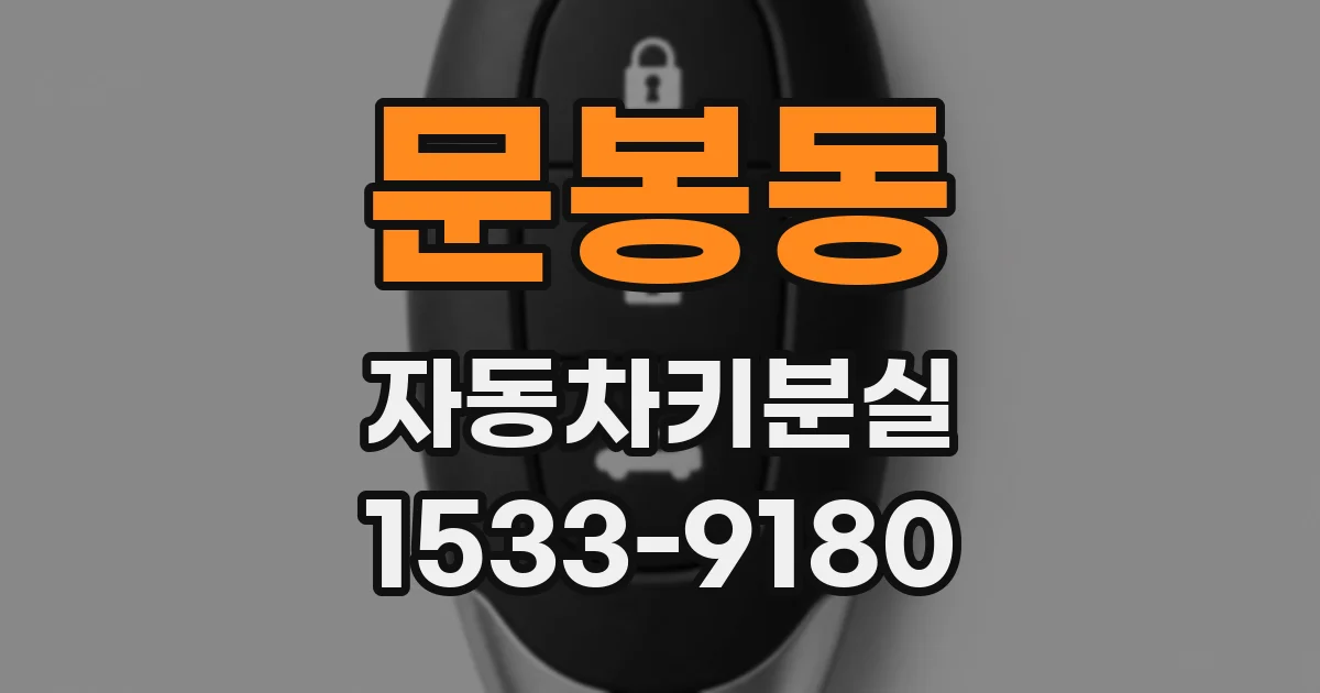 문봉동 자동차키분실