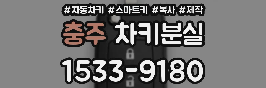 충주 차키분실