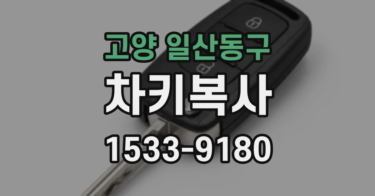고양 일산동구 차키복사