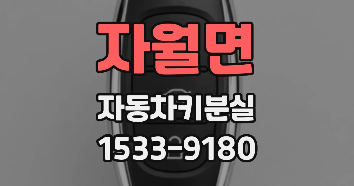 자월면 자동차키분실