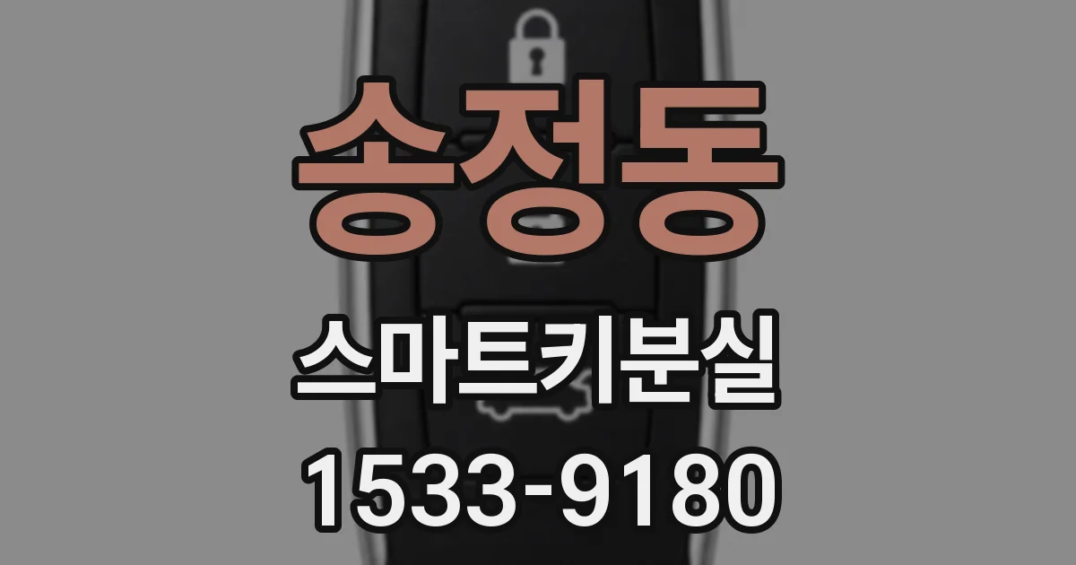 송정동 스마트키분실