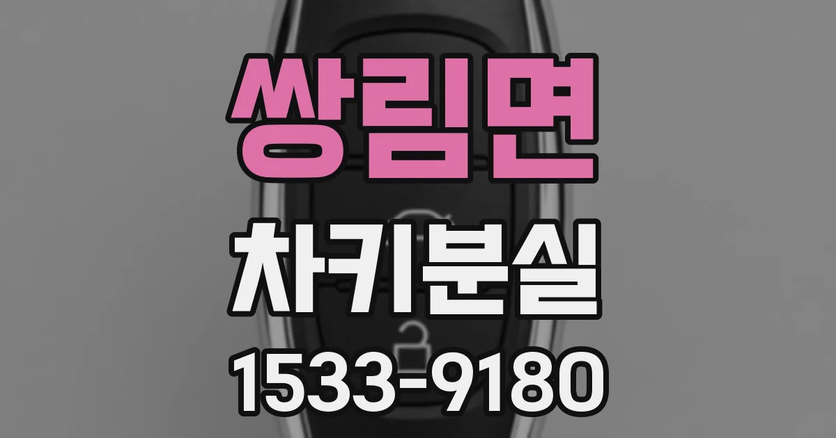 쌍림면 차키분실