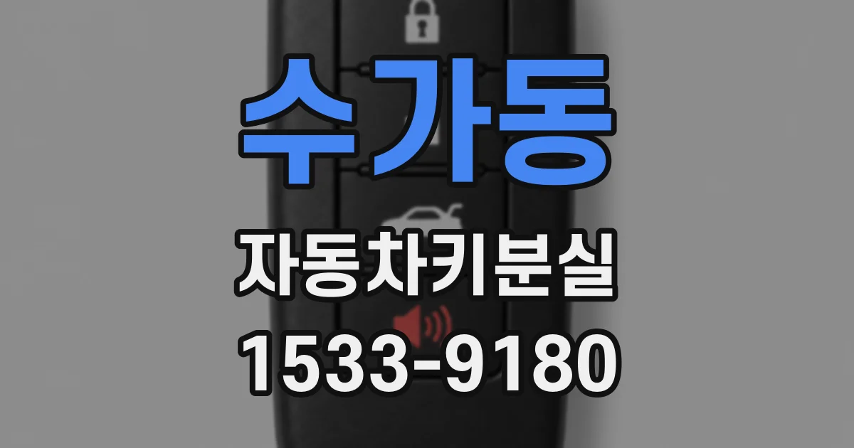 수가동 자동차키분실