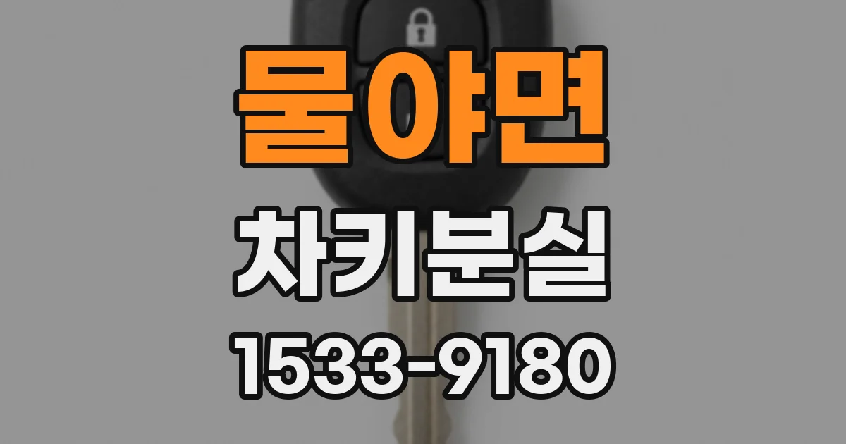 물야면 차키분실