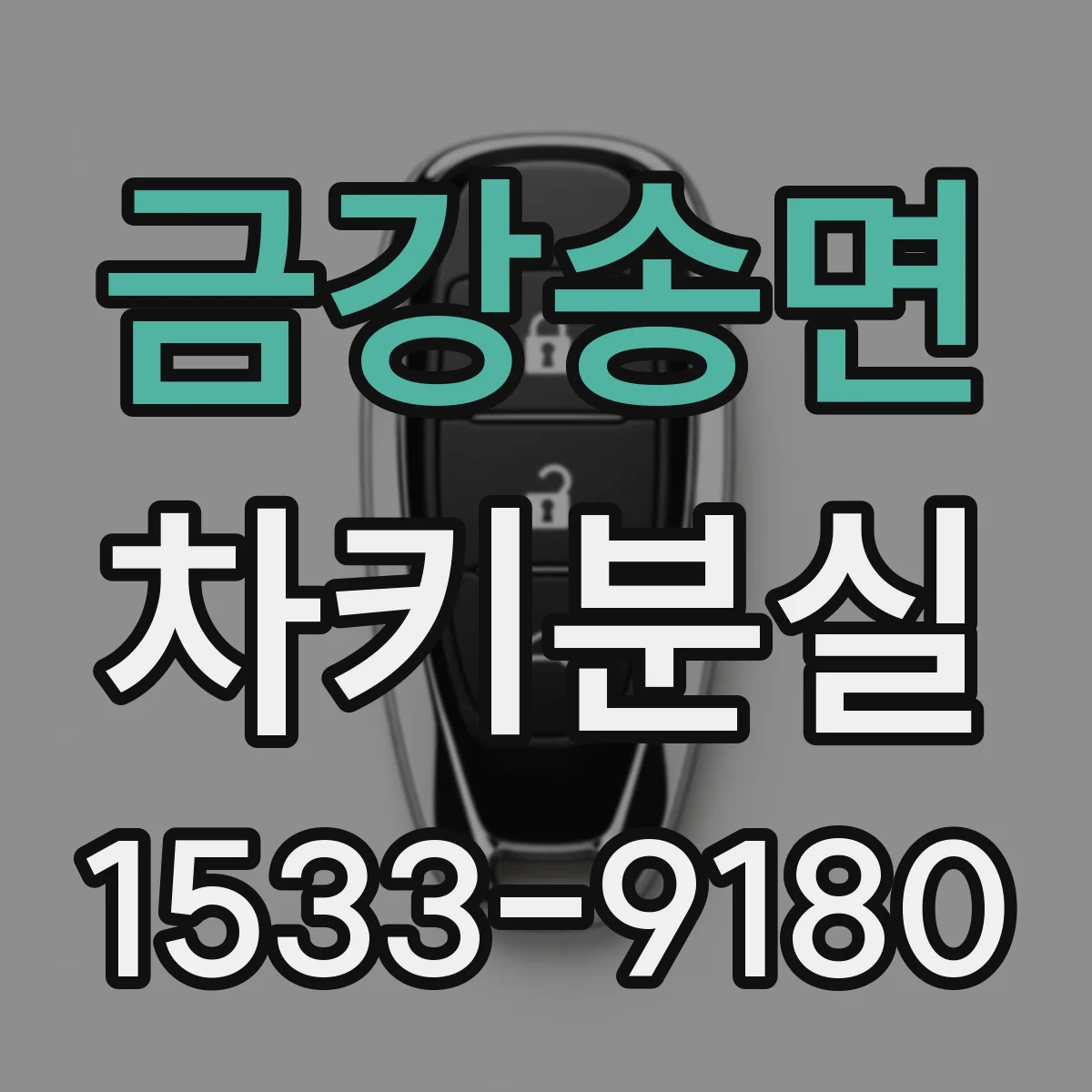 금강송면 차키분실