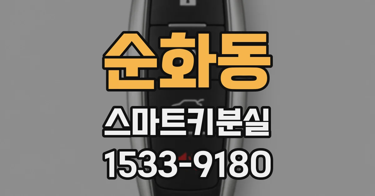 순화동 스마트키분실