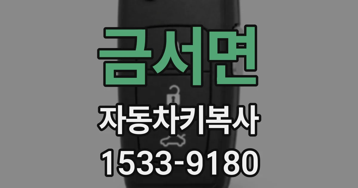 금서면 자동차키복사