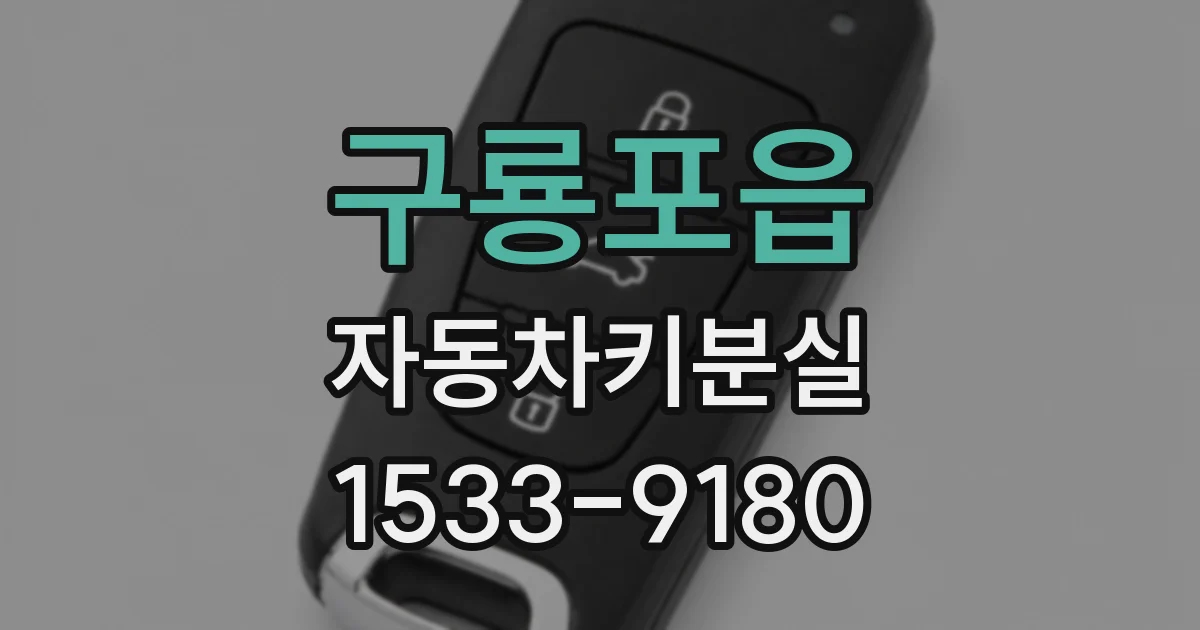 구룡포읍 자동차키분실