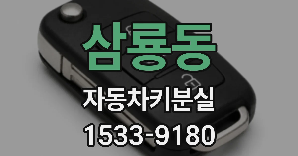 삼룡동 자동차키분실
