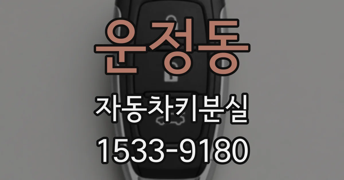 운정동 자동차키분실