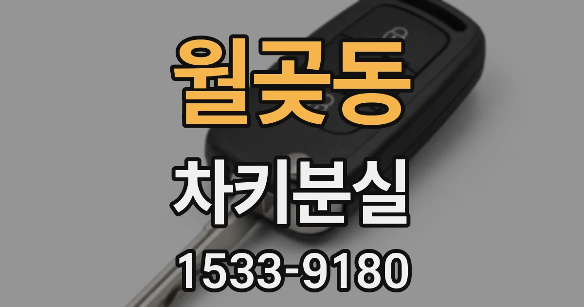 월곶동 차키분실