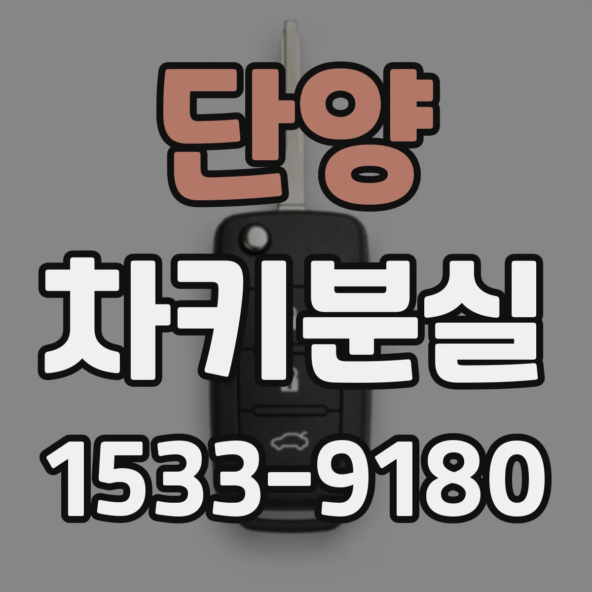 단양 차키분실
