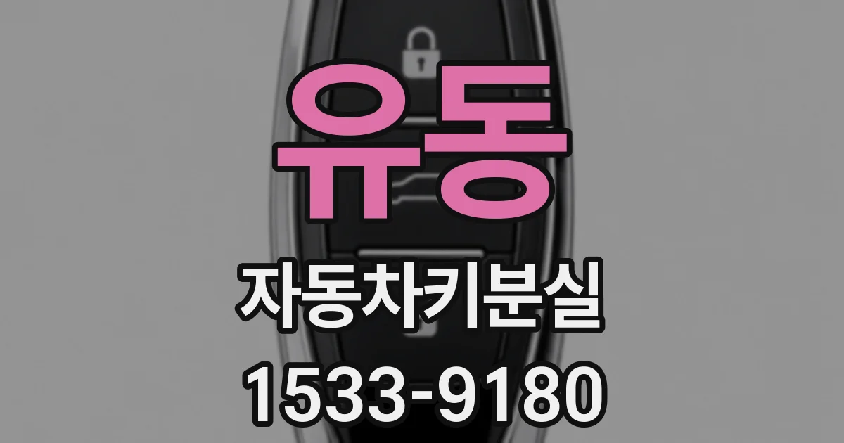 유동 자동차키분실