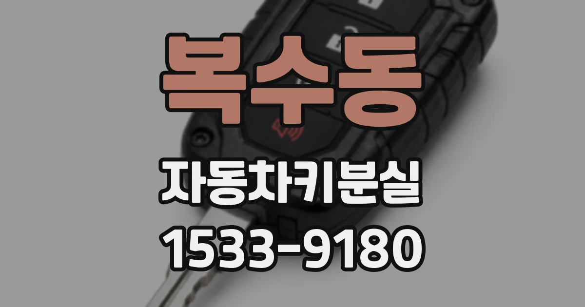 복수동 자동차키분실