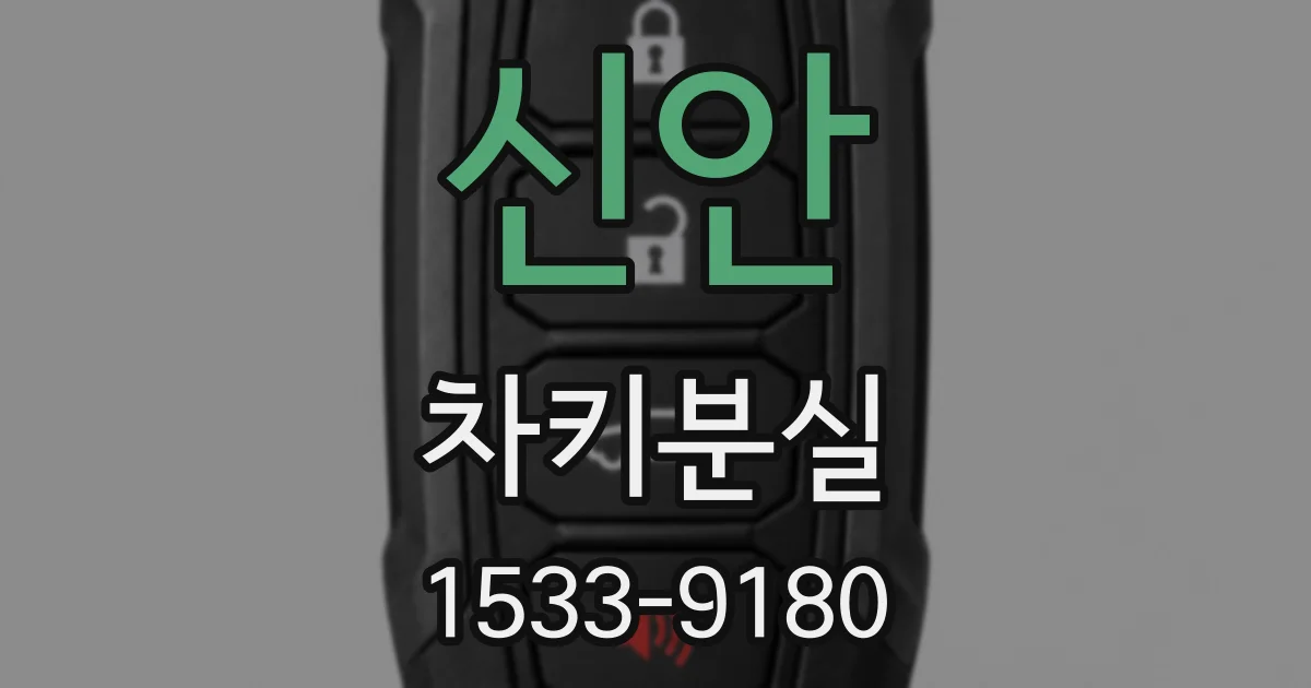 신안 차키분실