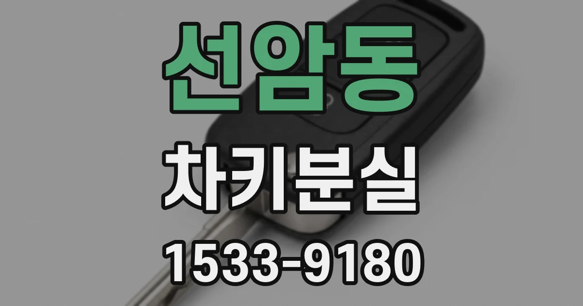 선암동 차키분실