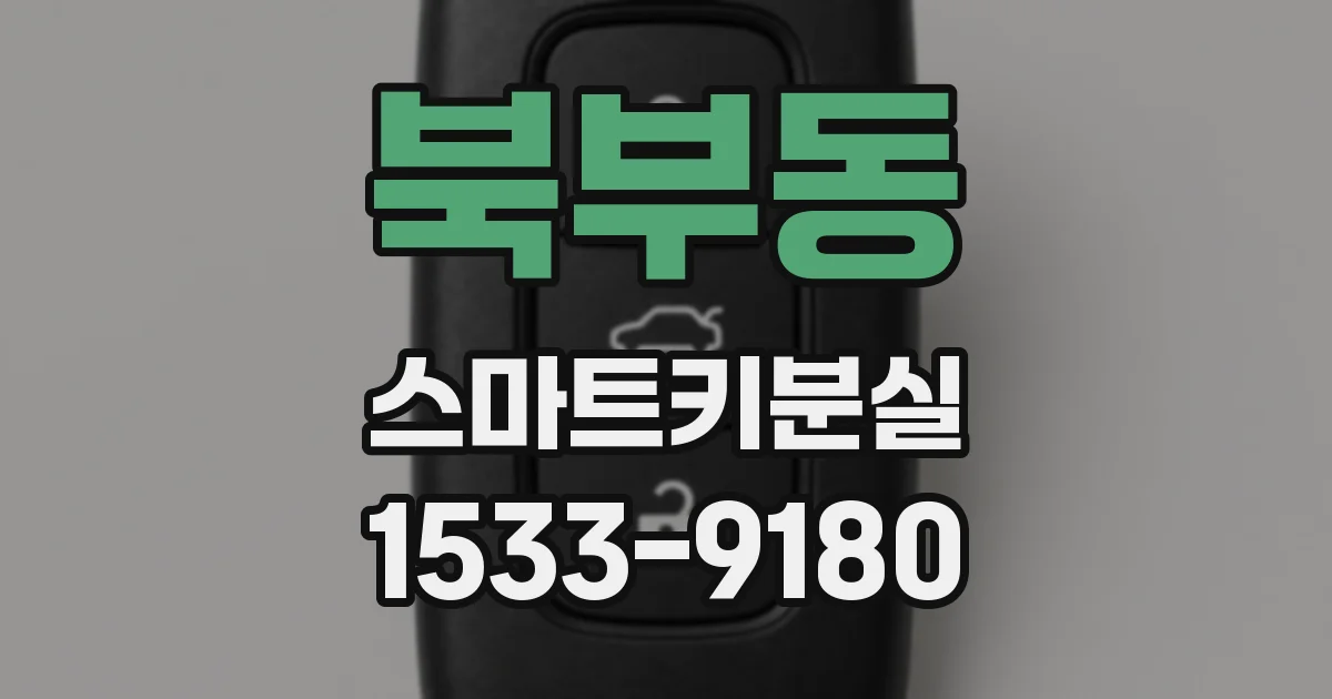 북부동 스마트키분실