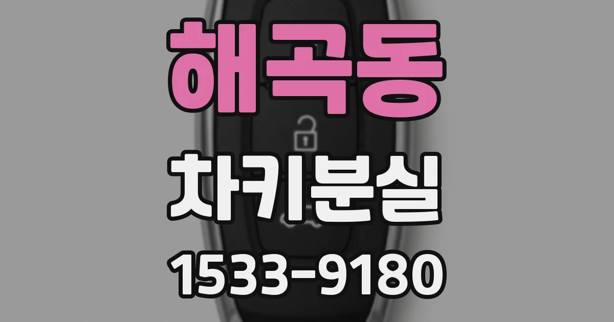 해곡동 차키분실