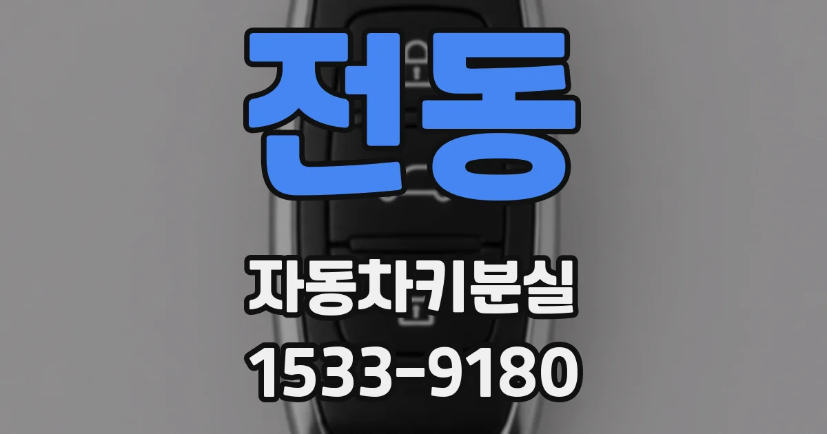 전동 자동차키분실