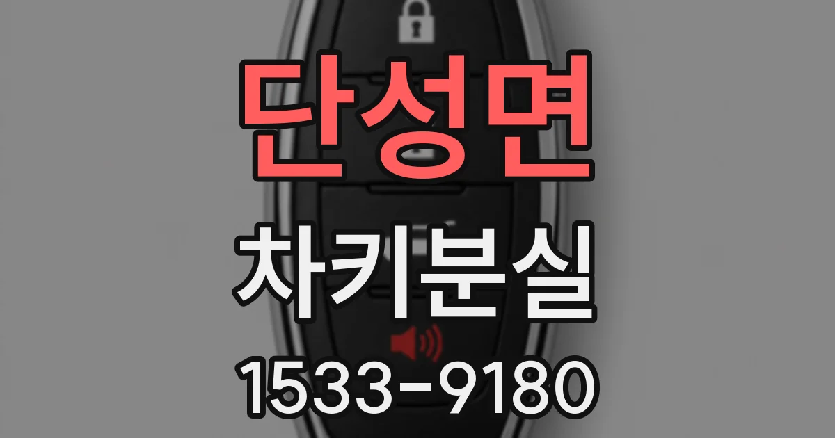 단성면 차키분실