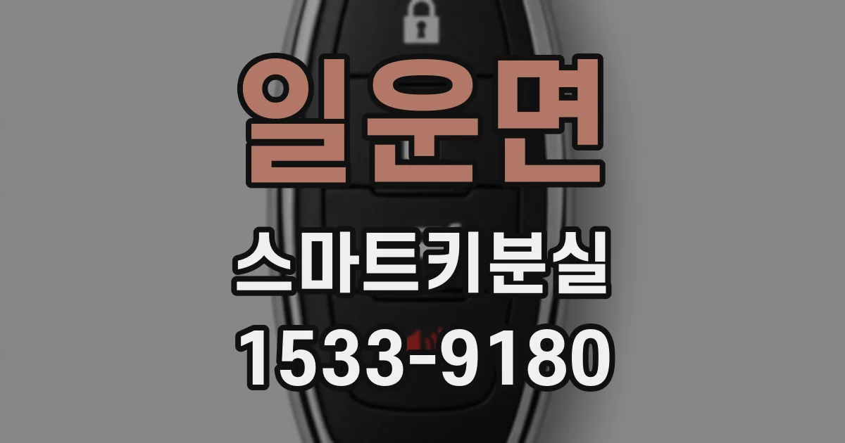 일운면 스마트키분실