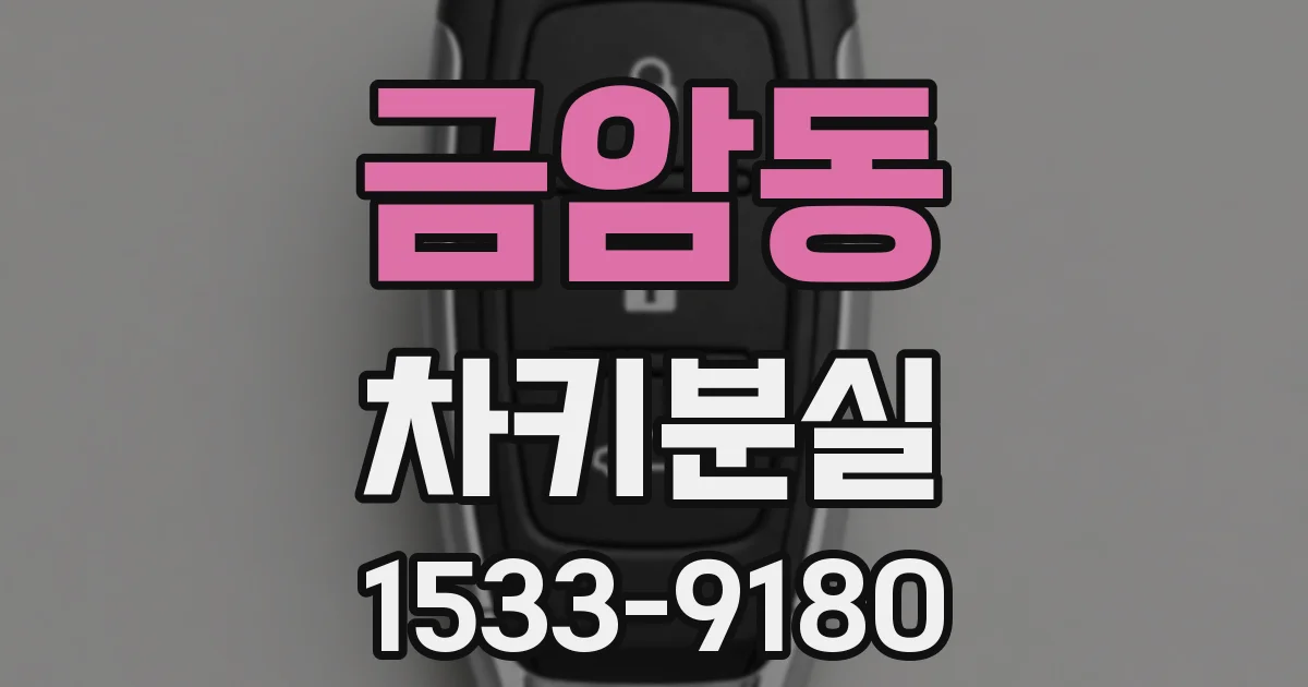 금암동 차키분실