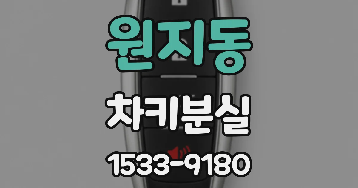 원지동 차키분실