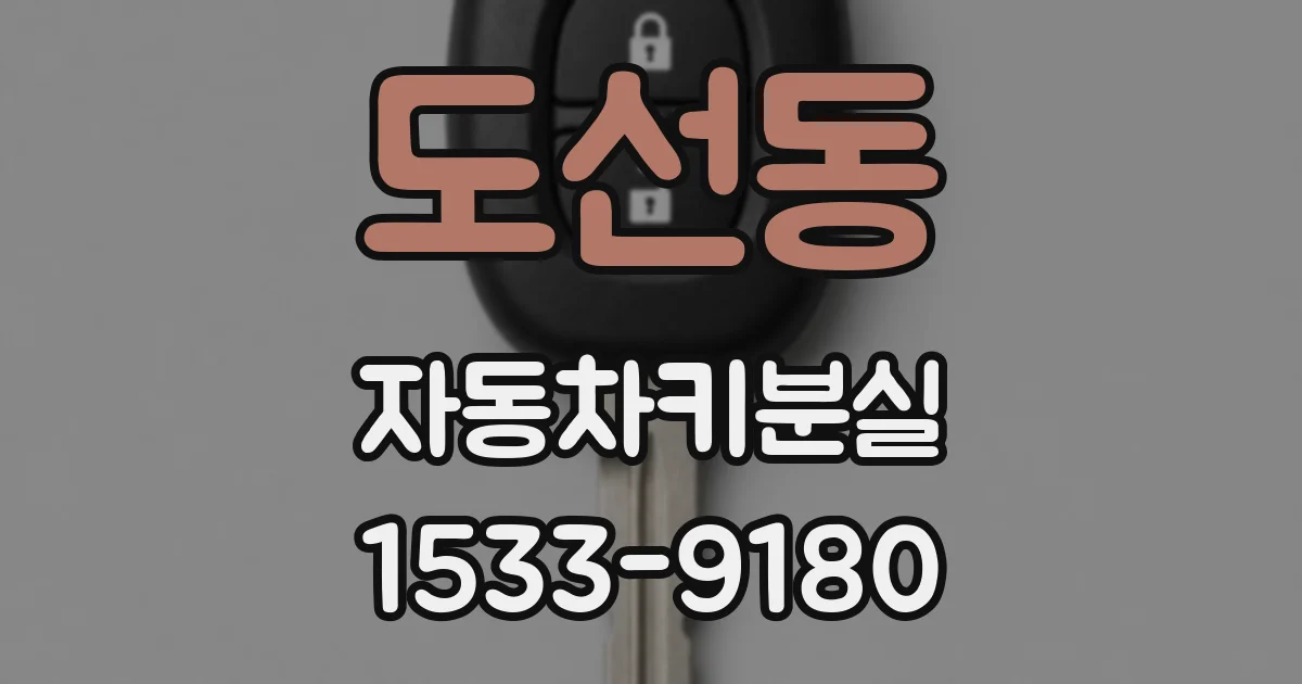 도선동 자동차키분실