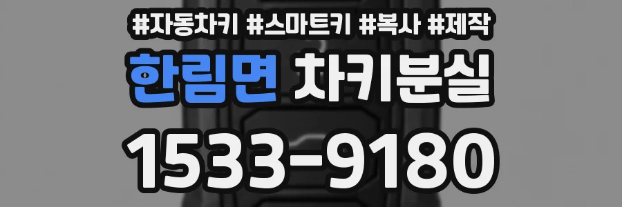 한림면 차키분실