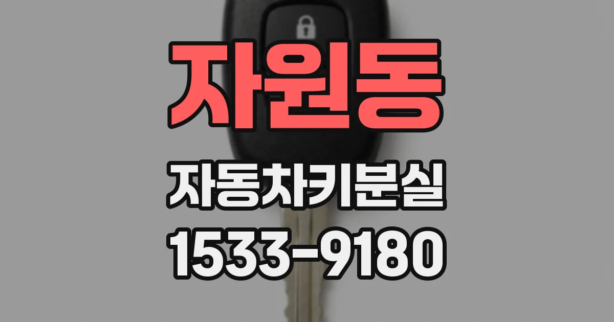 자원동 자동차키분실
